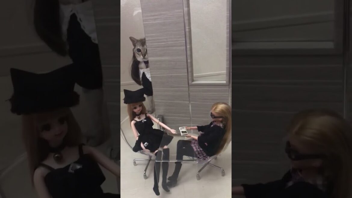 家政婦のミタゾノ🧹🐈👁