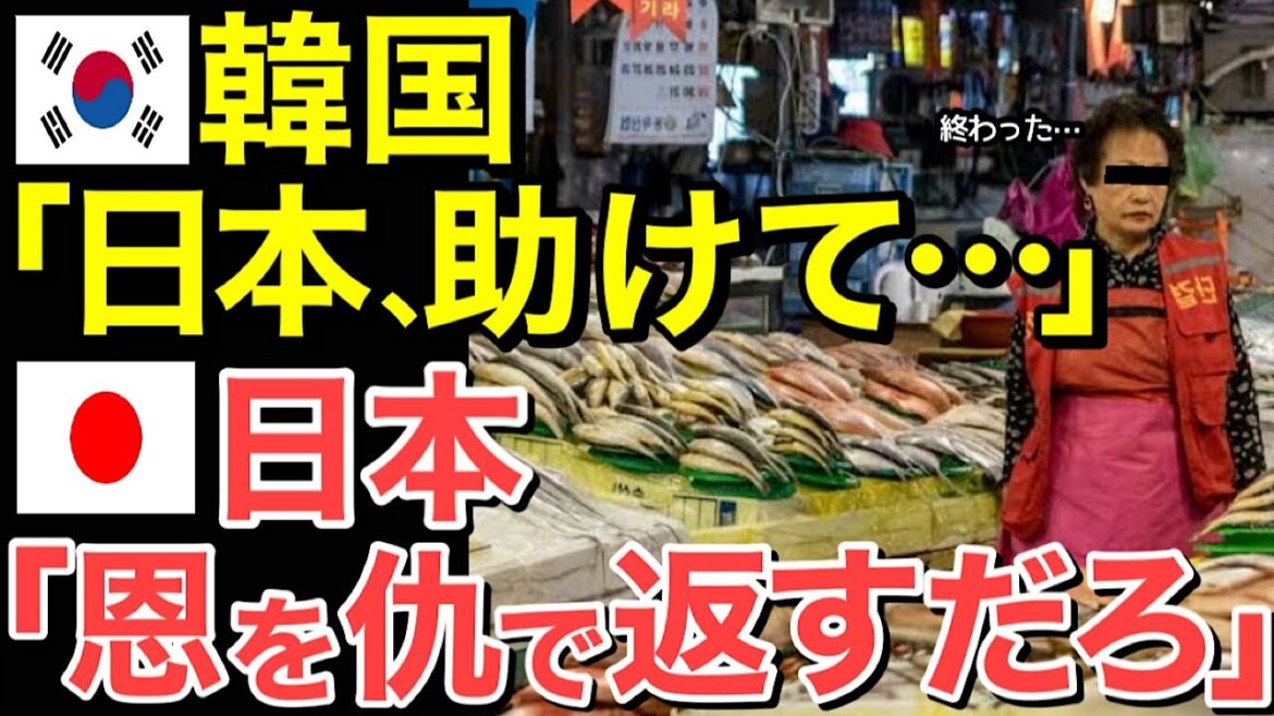 【海外の反応】隣国が食糧難！隣国「日本助けて…」日本は援助を完全拒否！【にほんのチカラ】