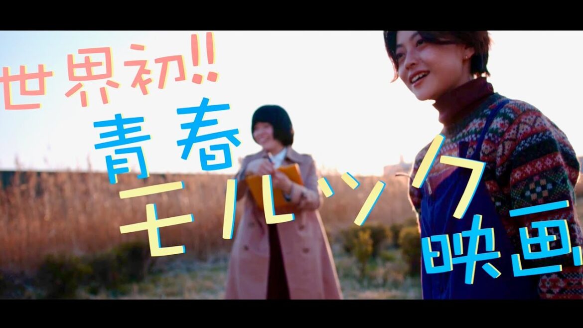 曽我部恵一(サニーデイ・サービス)劇中歌を書下ろし！世界初の青春モルック映画『TODOKU YO-NA』予告編