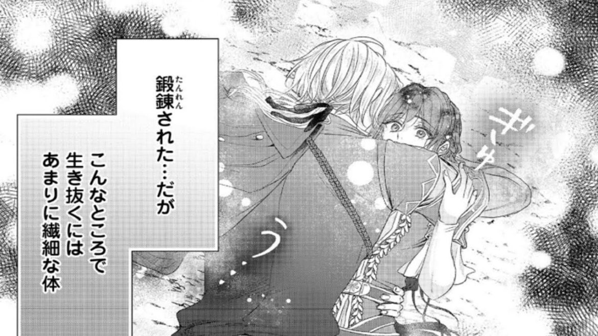 【異世界漫画】彼は彼女の初恋の人です！彼は王女へのプロポーズの証として、言葉を理解する神剣を仲間に与えてほしいと要求した。1~16.3【マンガ動画】