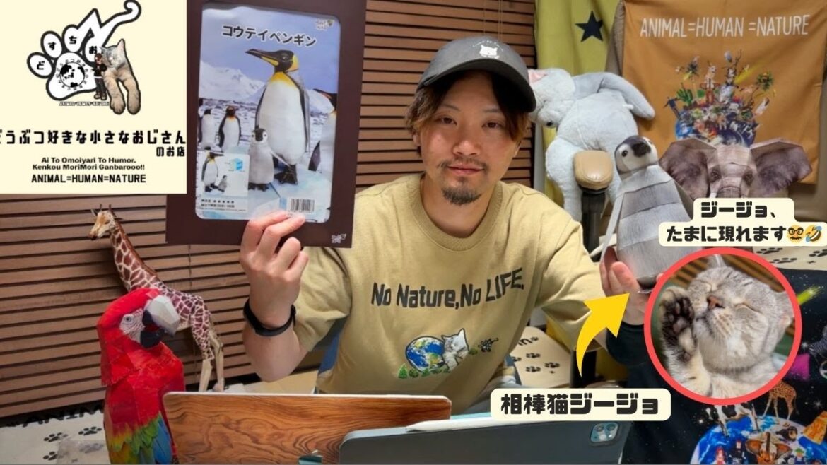 #13【流し見用】動物と人🕺🏽😽相棒猫は現れる！？✨ お酒を飲みながら ゆる〜く ペンギン🐧さんのペーパークラフトを創っていくライブ🍻①  man and cat live
