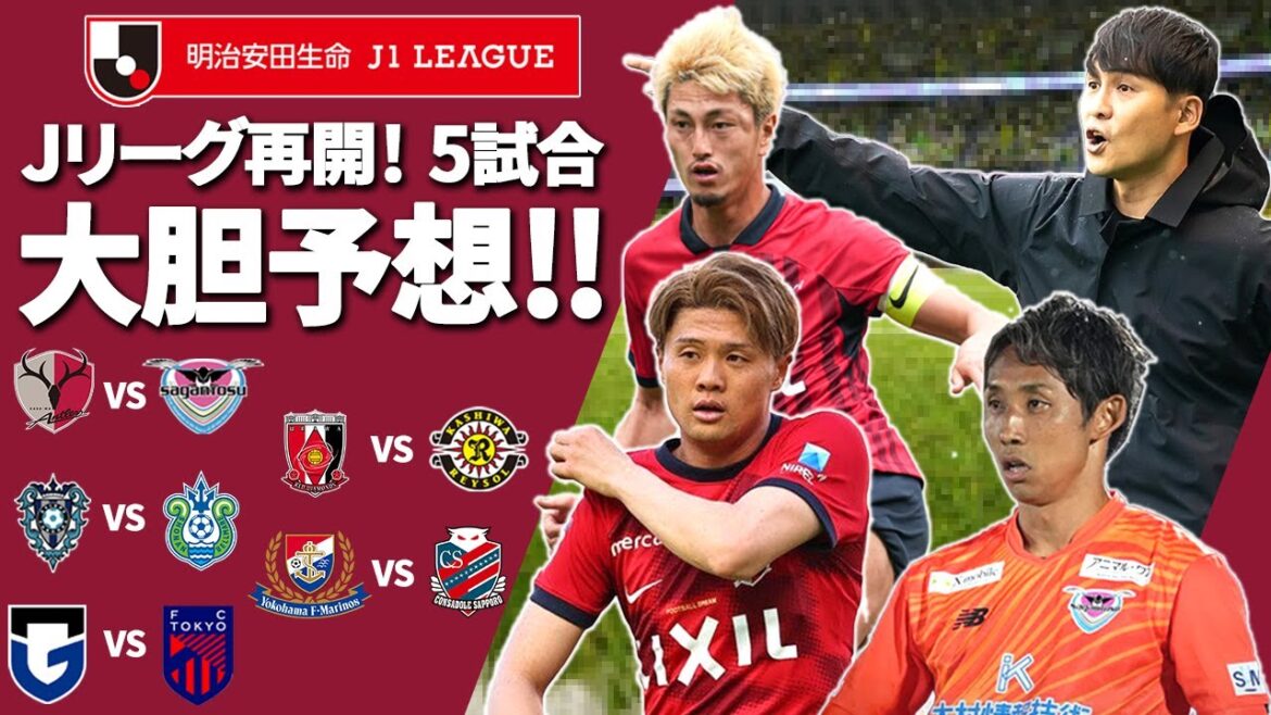 【勝手に大胆予想】２０２４Ｊリーグ　第２５節　厳選した５試合を予想