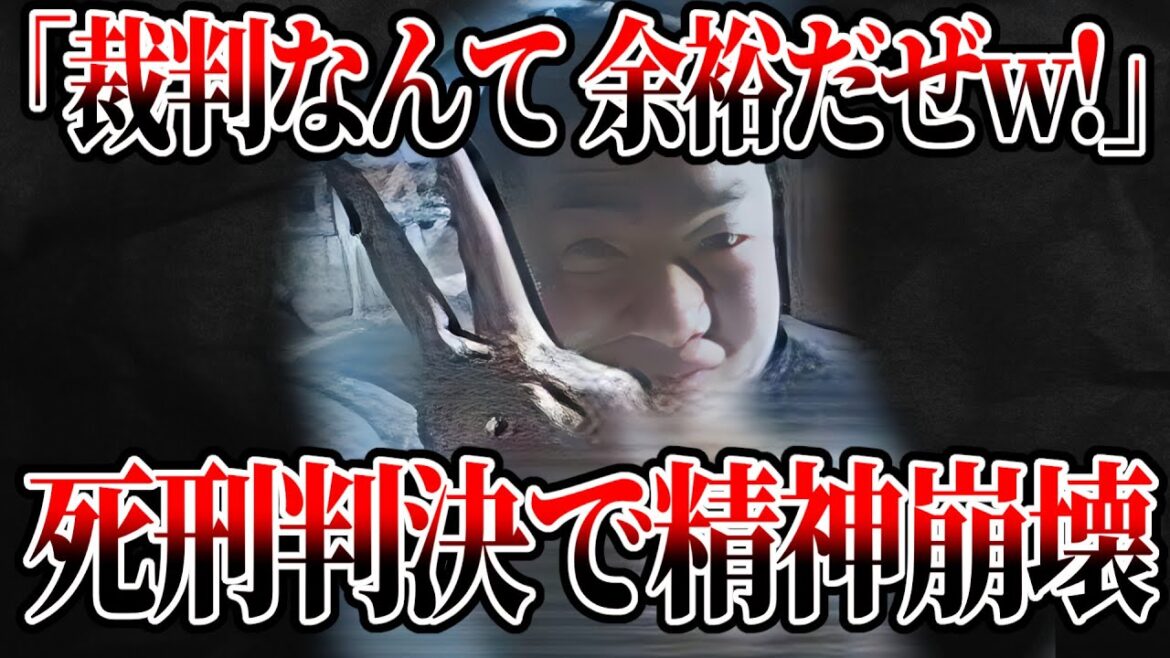 【最低のゴミ】藤間静波のリアクションが…【藤沢市母娘ら5人●害事件 死刑 ゆっくり解説】