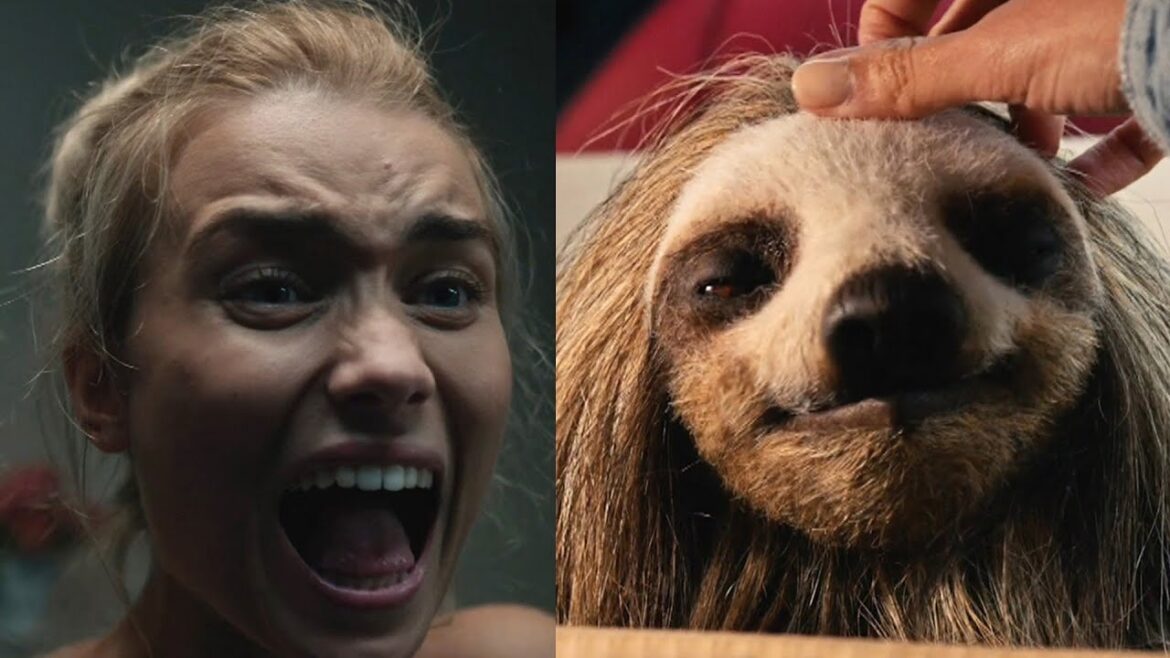 今度の殺人鬼はナマケモノ！女子寮の美女たちがパニック／ホラー映画『キラー・ナマケモノ』予告編