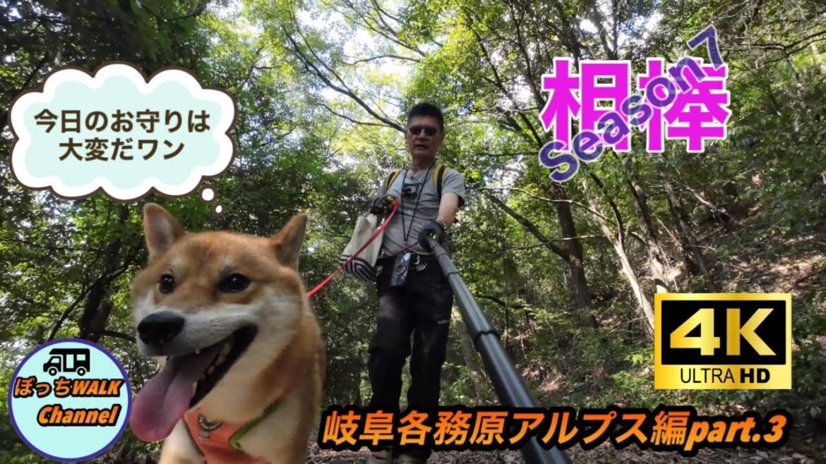 相棒Season7 今日のお守りは大変だワン 岐阜各務原アルプス編part.3