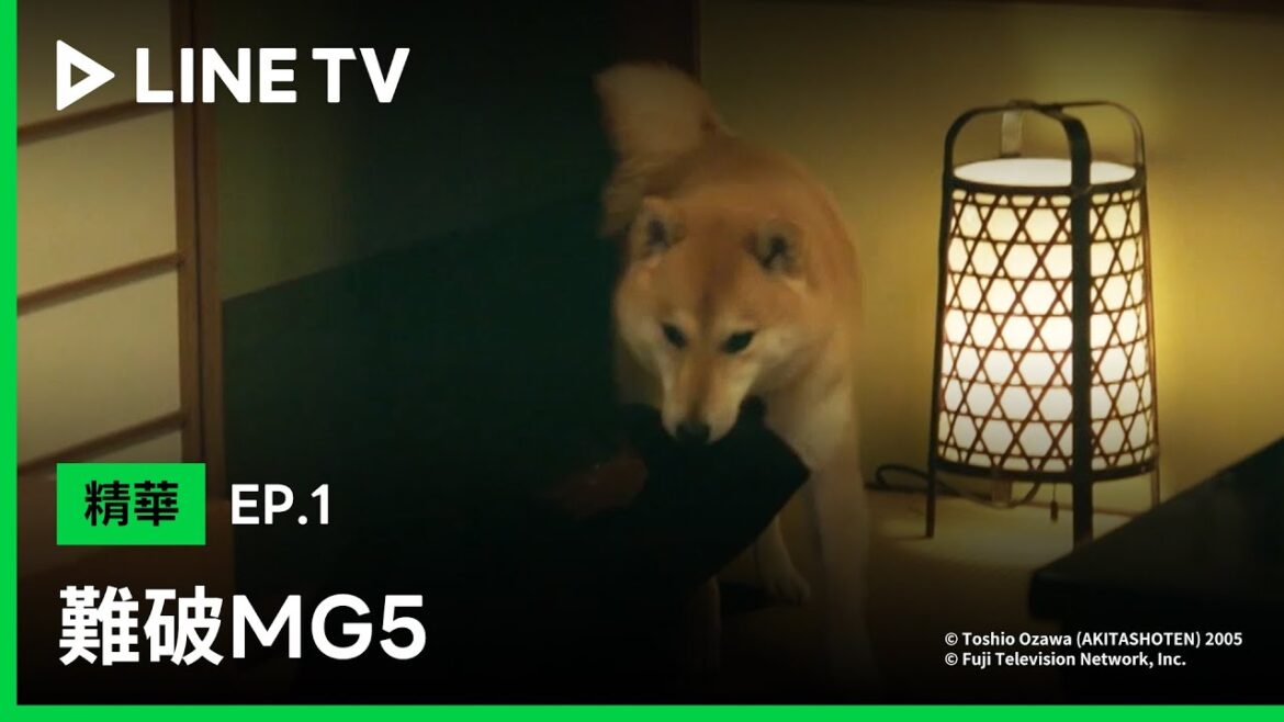 【難破MG5】EP1精華：萌柴犬「難破松」化身偵探，抓包不良少年主人「難破剛」從良！| LINE TV 共享追劇生活
