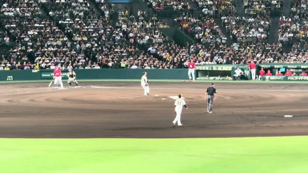 フェンス際の打球をファインプレー 右京さんのレフト守備