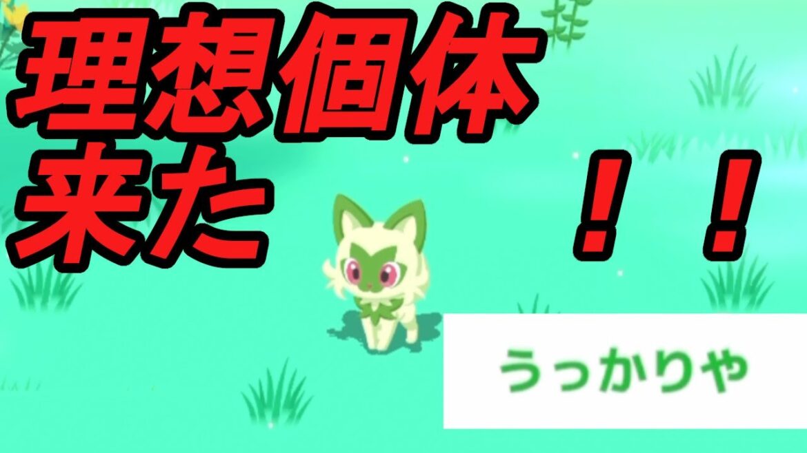 理想的な個体も来て評価は置いといて採用させてもらいます【ポケモンスリープ】