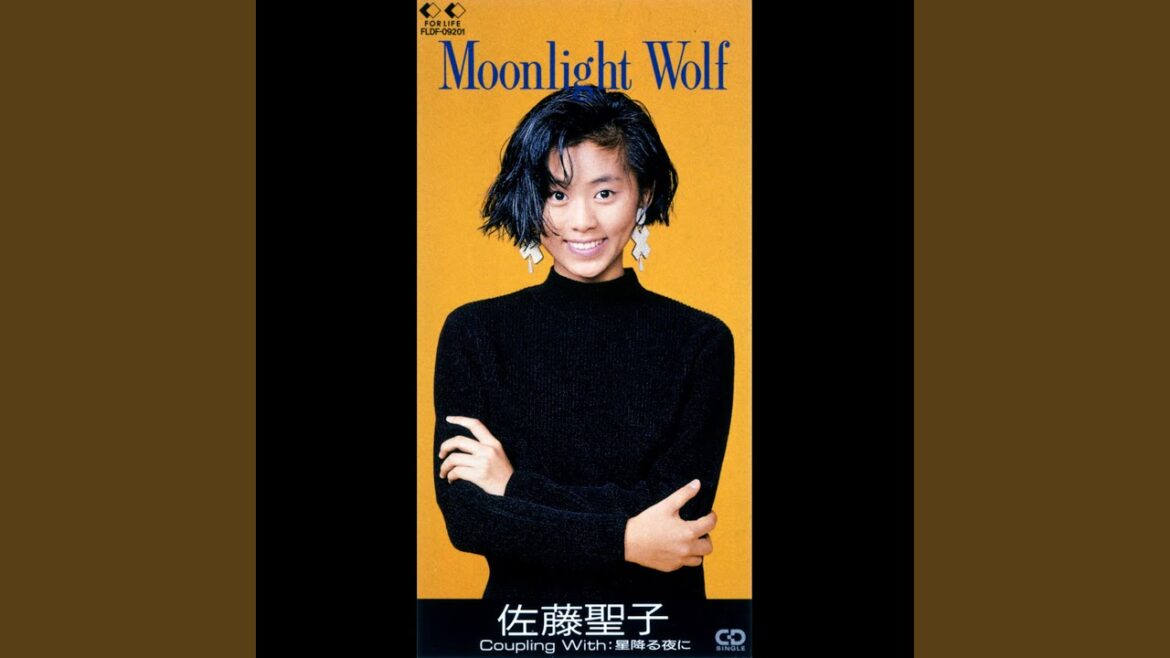 星降る夜に