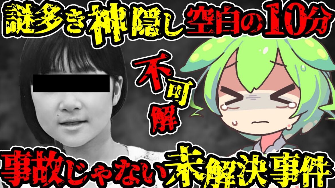 【犯人は○○】お、おかあさん…失踪場所から人骨発見の違和感。もうあの日は戻らない（山梨キャンプ場女児失踪事件）（VOL009）【ずんだもん＆ゆっくり解説】