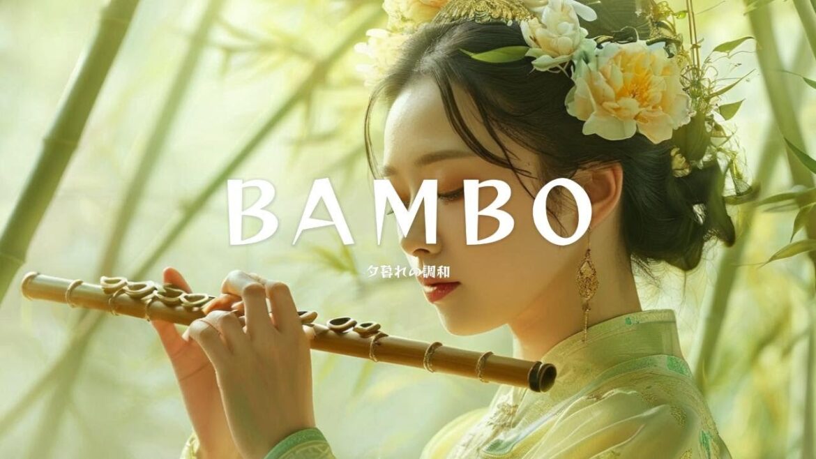 [𝐆𝐔𝐙𝐇𝐄𝐍𝐆, 𝐄𝐑𝐇𝐔 & 𝐅𝐋𝐔𝐓𝐄] 星降る夜に響く伝統音楽 🌠🎵 | Traditional Music Echoing on a Starry Night