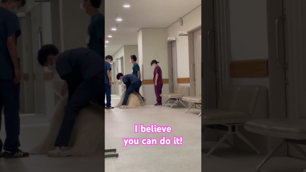 He said "Nope!!!!!" The Afghan hound being examined at a veterinary clinic. 検査が怖いアフガンハウンド