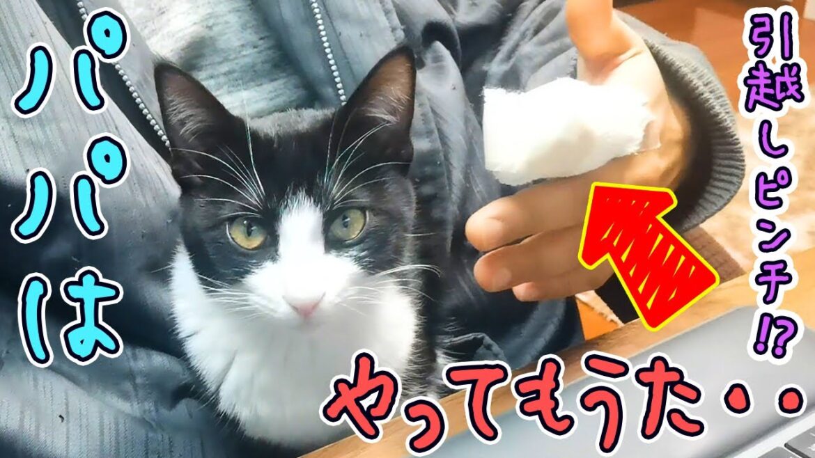 妻よごめんなさい‥僕は引っ越し1週間前にケガをして使い物にならなくなってしまいました‥【ガチ】