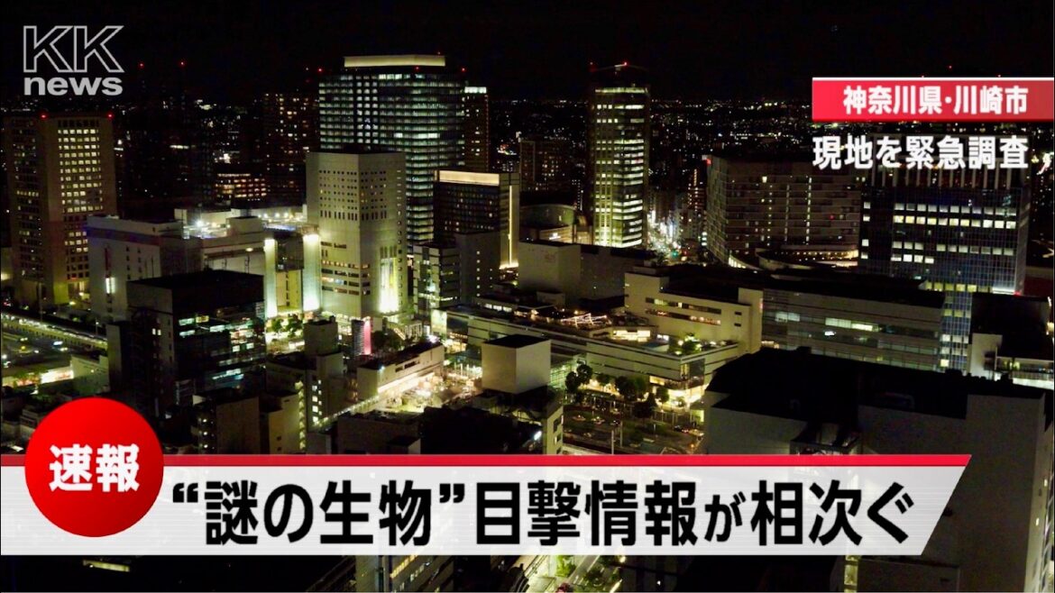 川崎で大量の“UMA”目撃情報！オカルト雑誌「ムー」×川崎競馬 CM