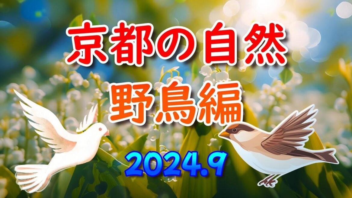 京都の自然　野鳥編16種　2024 9