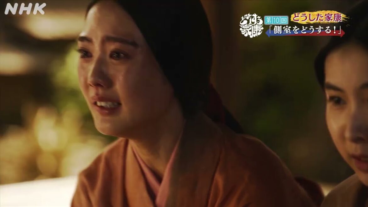 大河ドラマ「どうする家康」第1-15回