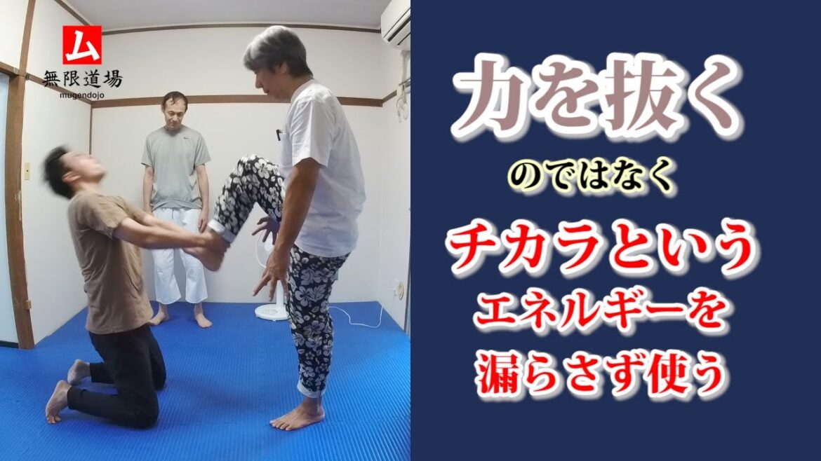力を抜くのではなくチカラというエネルギーを漏らさず使う　足の合氣揚げ