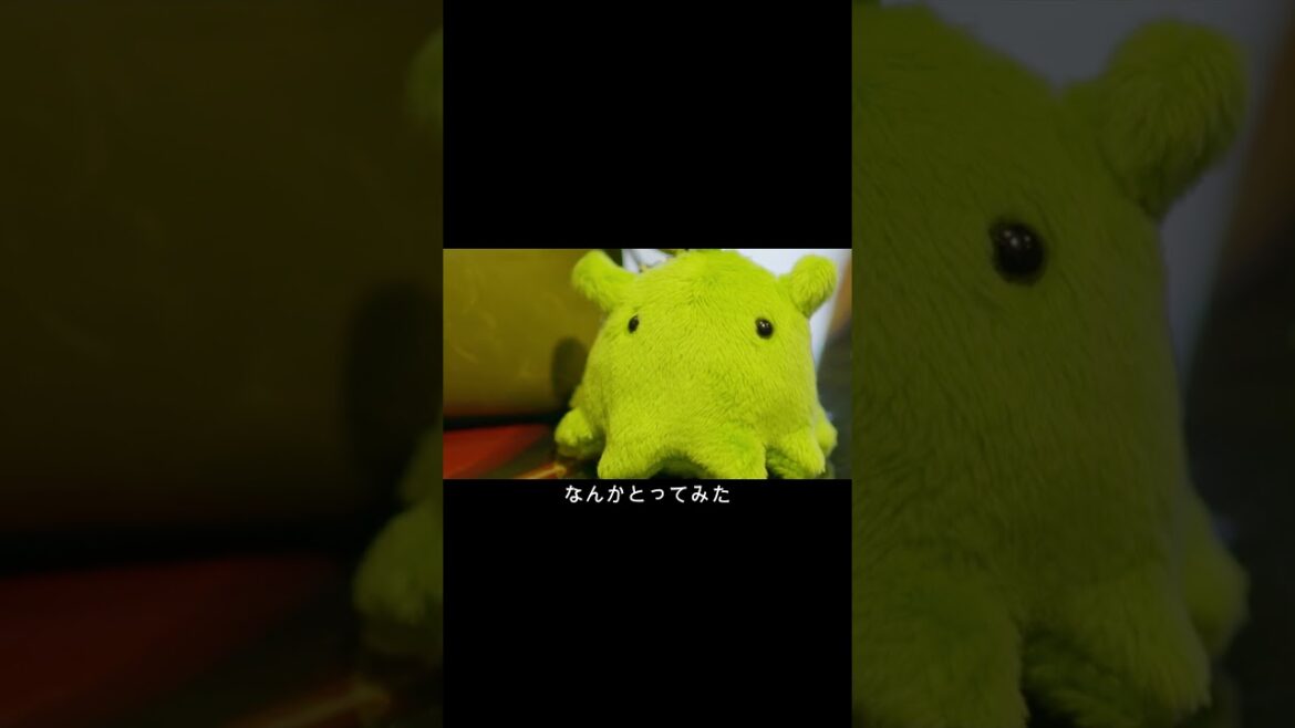 【vlog】お気に入りの筆箱に相棒