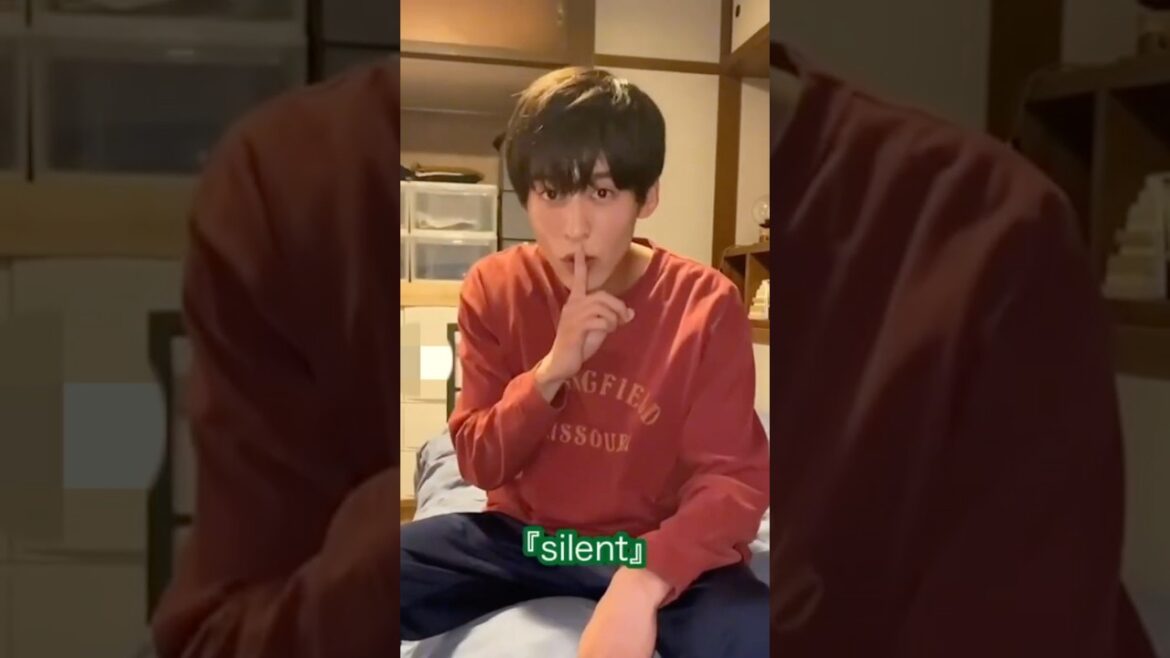 超レア！手話で投げかけてくれてマジ感激した映像！