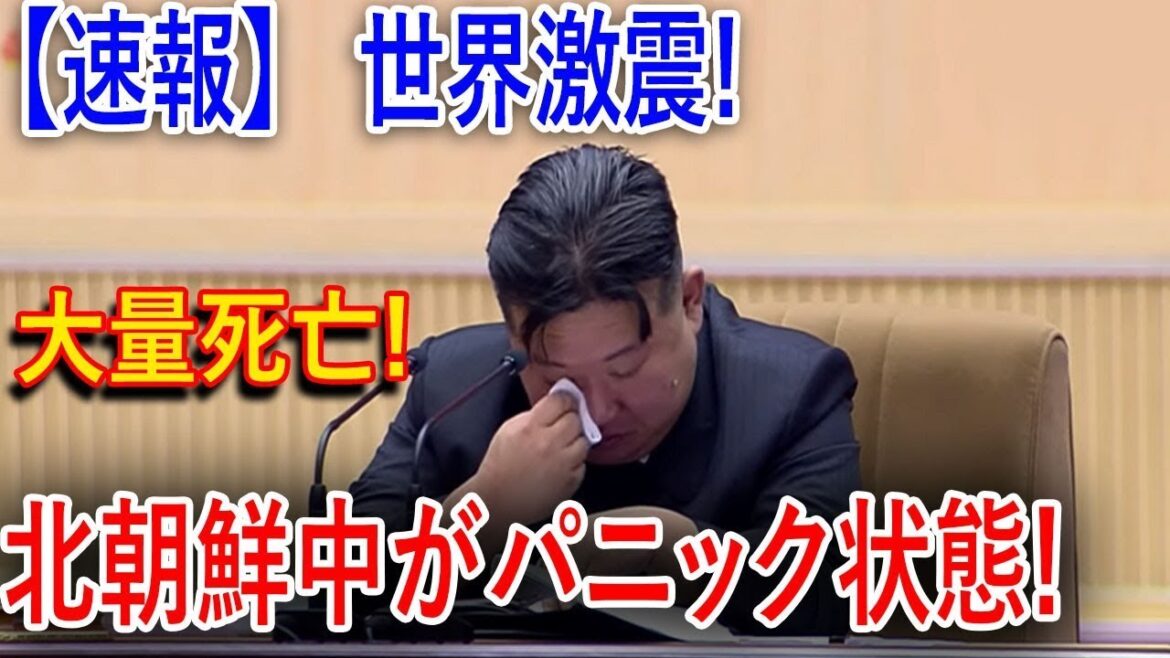 【ウクライナ戦況速報】最新ニュース 2024年11月25日