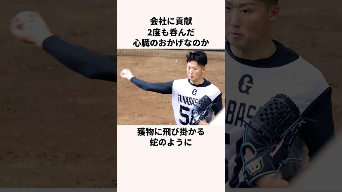 「オールドルーキー」船迫大雅に関する雑学 #プロ野球 #野球解説  #読売ジャイアンツ