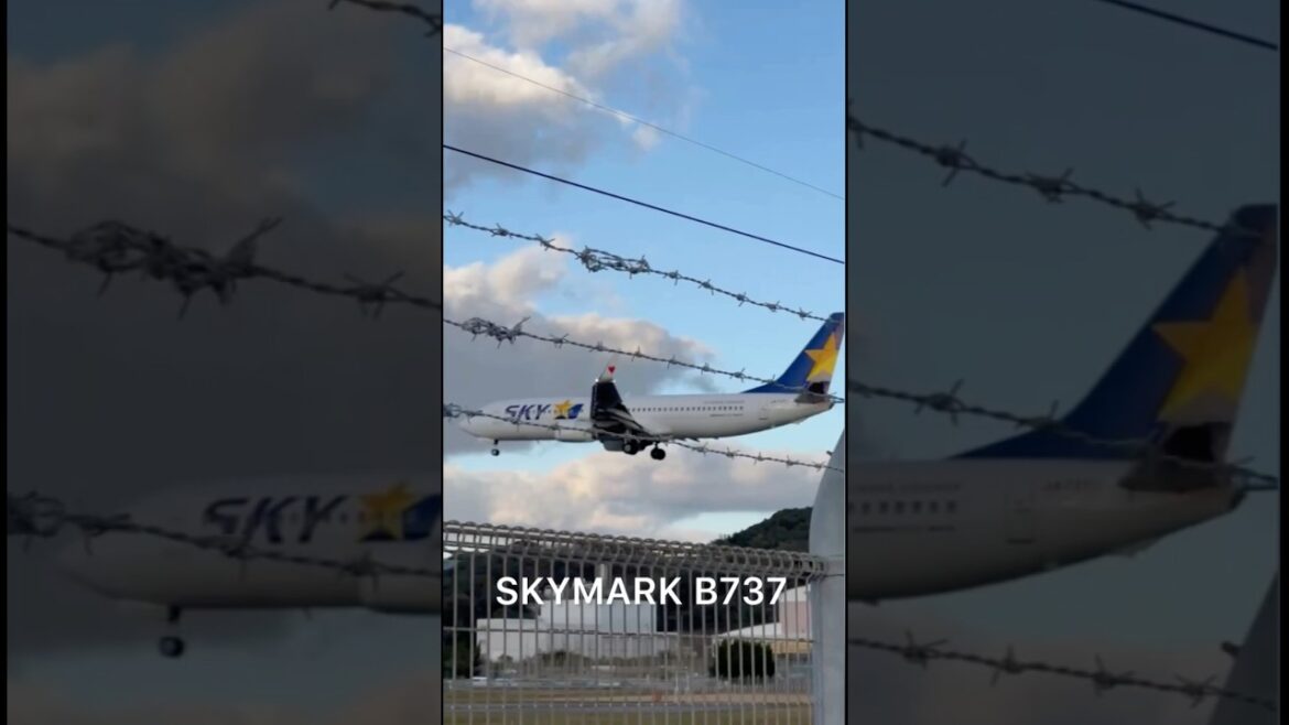 SKYMARK B737#nice spotting #ytshorts