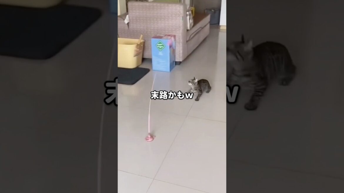 【スカッと】子供の名前を絶対にカナカナにしようとした同僚は…ｗ