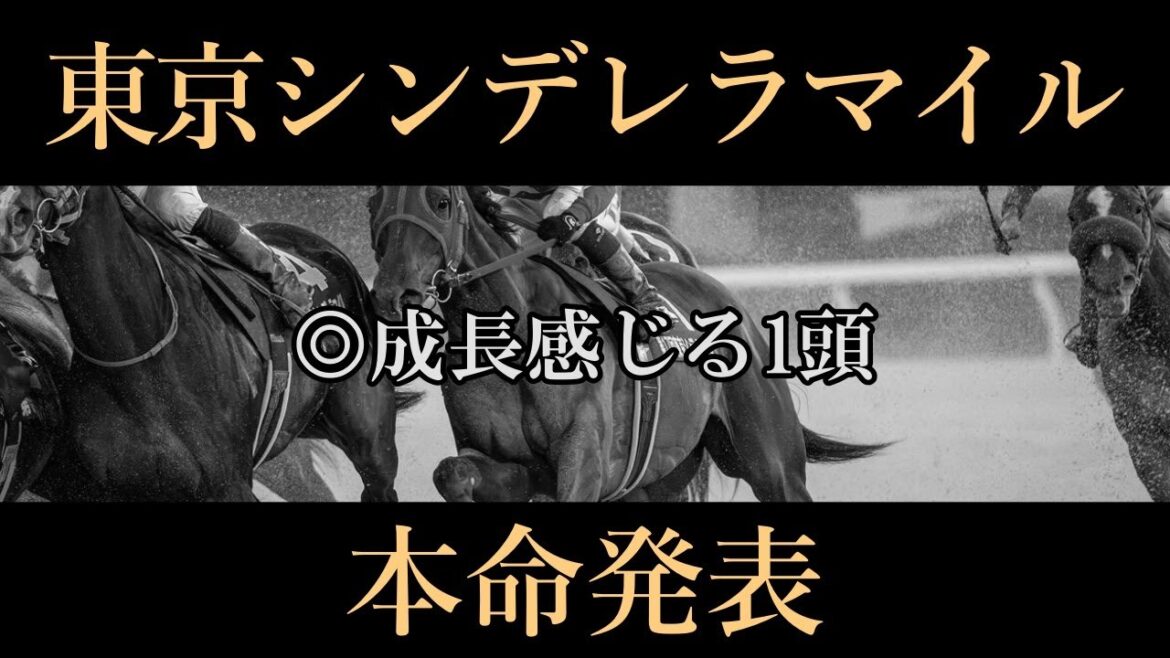 【東京シンデレラマイル2024】本命発表