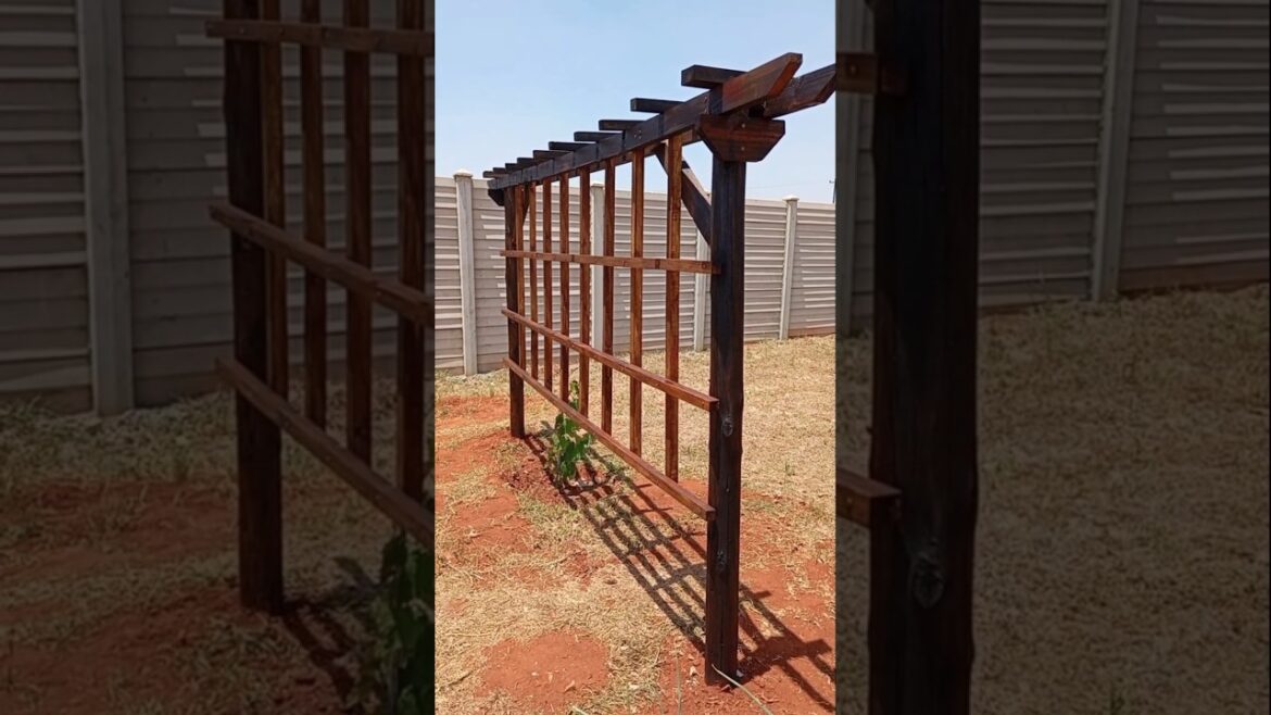 Privacy Fence Trellis Grape DIY  #diy #tinyhouse  for climbing plants small scrap wood projects