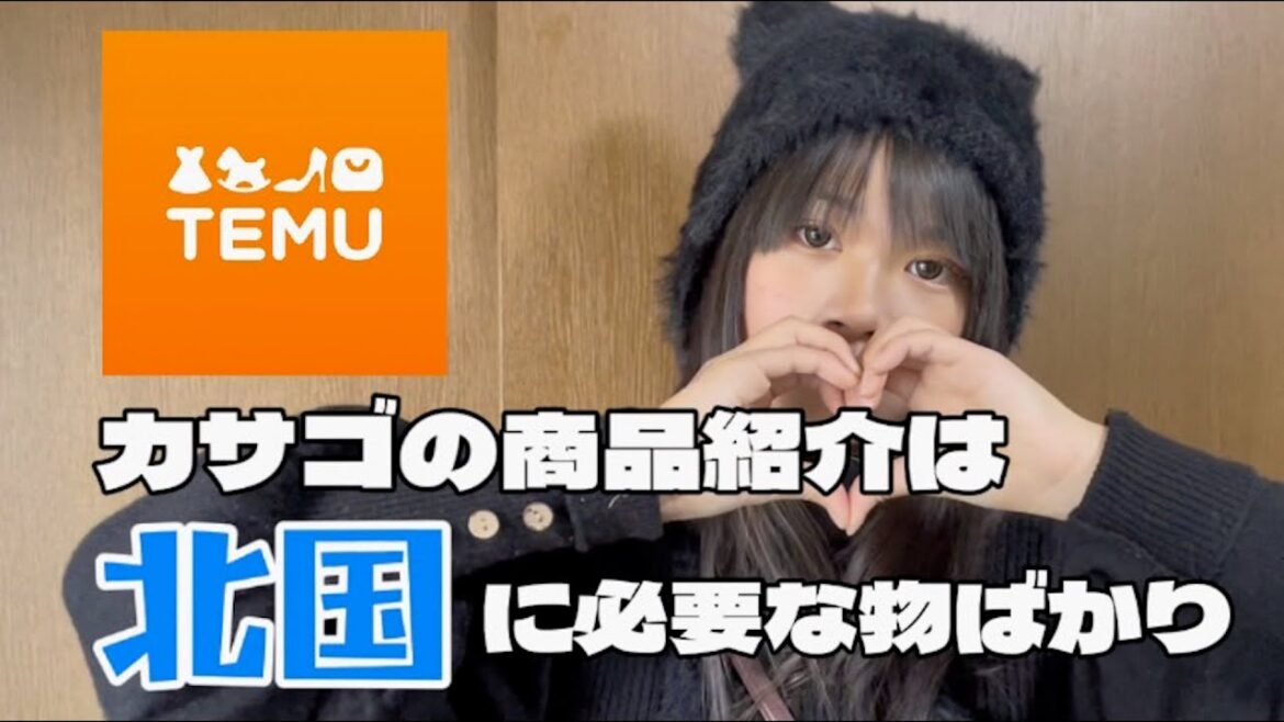 【TEMU】小中学生でも買える激安通販で購入した商品を紹介！！