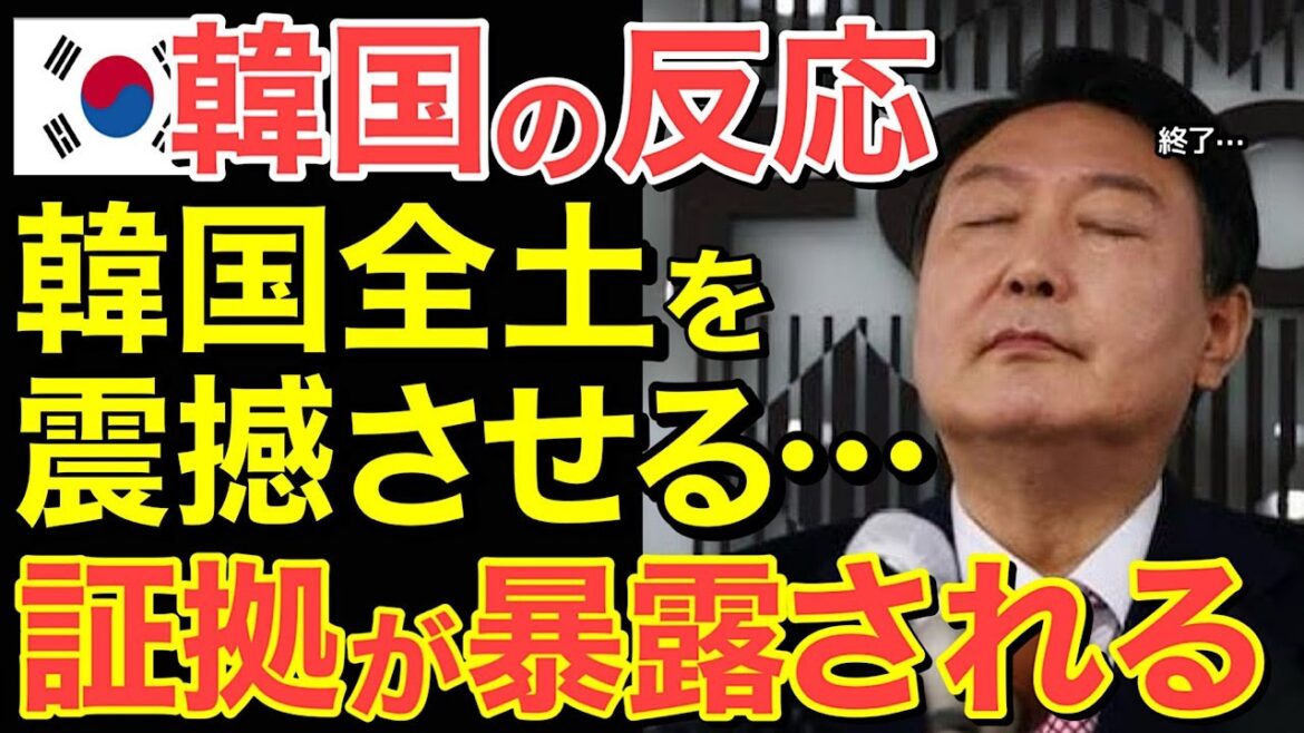 【海外の反応】隣国全土を震撼させる証拠が暴露される！報道陣は祭りのような大騒ぎとなり…【にほんのチカラ】