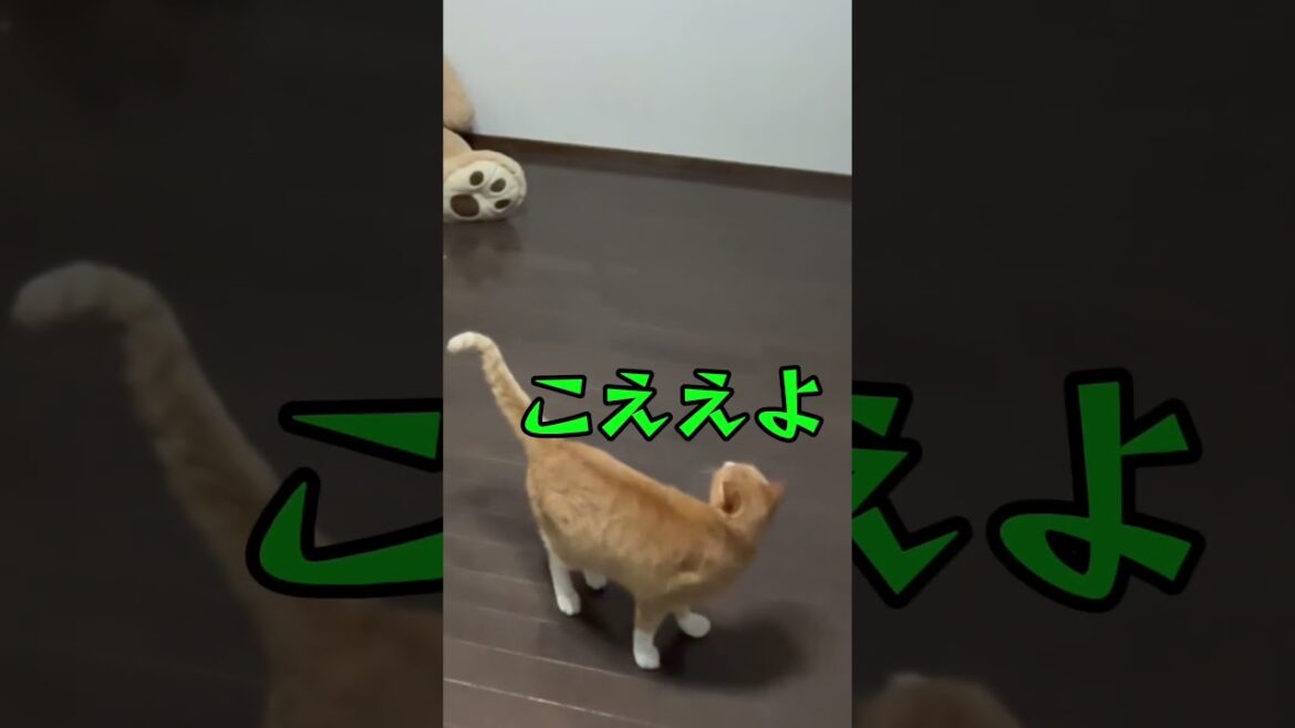 １発度りチャレンジ！！#ファーストペンギン #shorts
