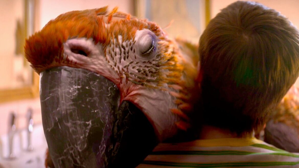 A24が放つ、それは命の“終わり”を告げる鳥／映画『終わりの鳥』予告編