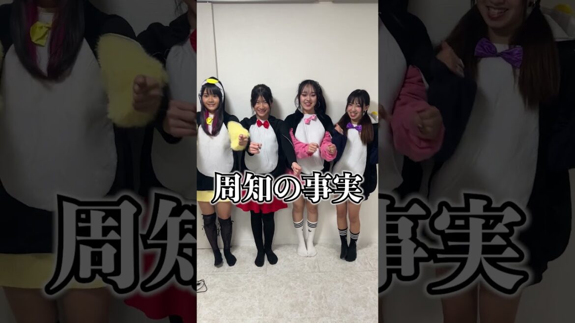 最後のは絶対わかるよねw#ファーストペンギン #shorts