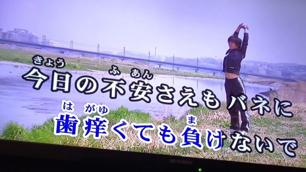 【女性低声】風丸一郎太の舞いあがれ！歌ってみた