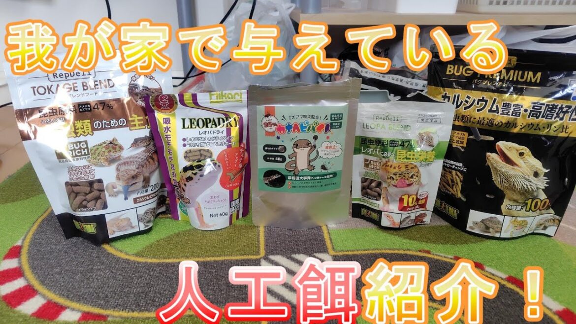 【食い付き抜群】我が家のカナヘビが食い付き抜群の人工餌を紹介します！【人工餌】