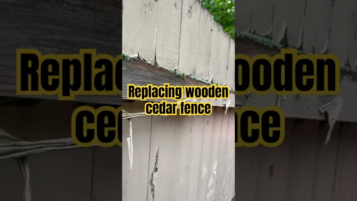 Replacing red cedar fence!!#fenceinstallation #fence #cedarfence #newwoodfence #renovation