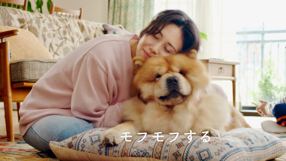 松嶋菜々子、モフモフしたりよく笑ったり…素顔全開!江崎グリコ CM+メイキング 松嶋菜々子、モフモフしたりよく笑ったり…素顔全開!江崎グリコ CM+メイキング