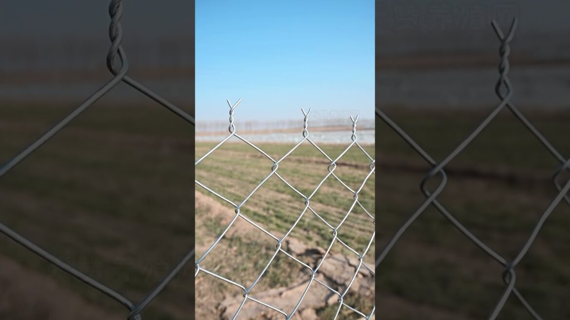 Galvanized fence net, breeding fence net, galvanized fence, galvanized hook net # galvanized fence