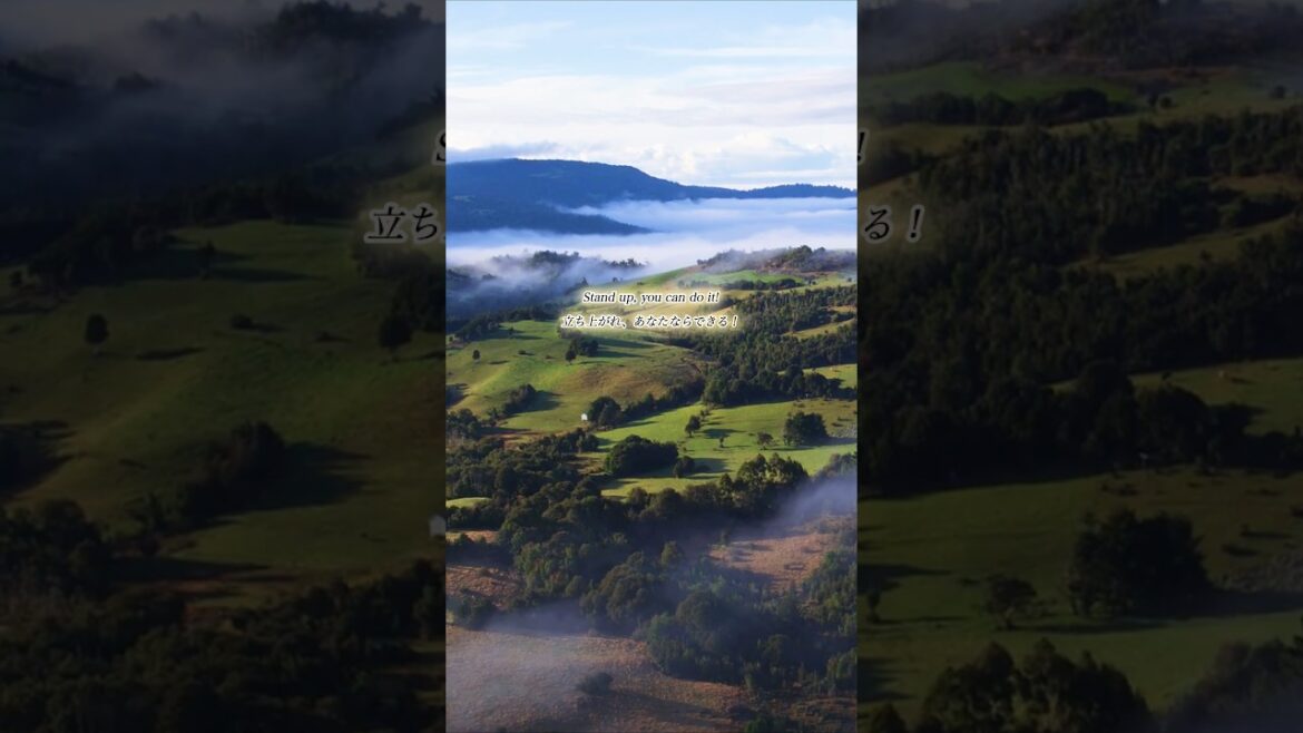 この曲を聞いて頑張ろう！#fightsong #believeinyourself #nevergiveup #ファイトソング #自分を信じて #諦めないで #強く生きる #前に進もう