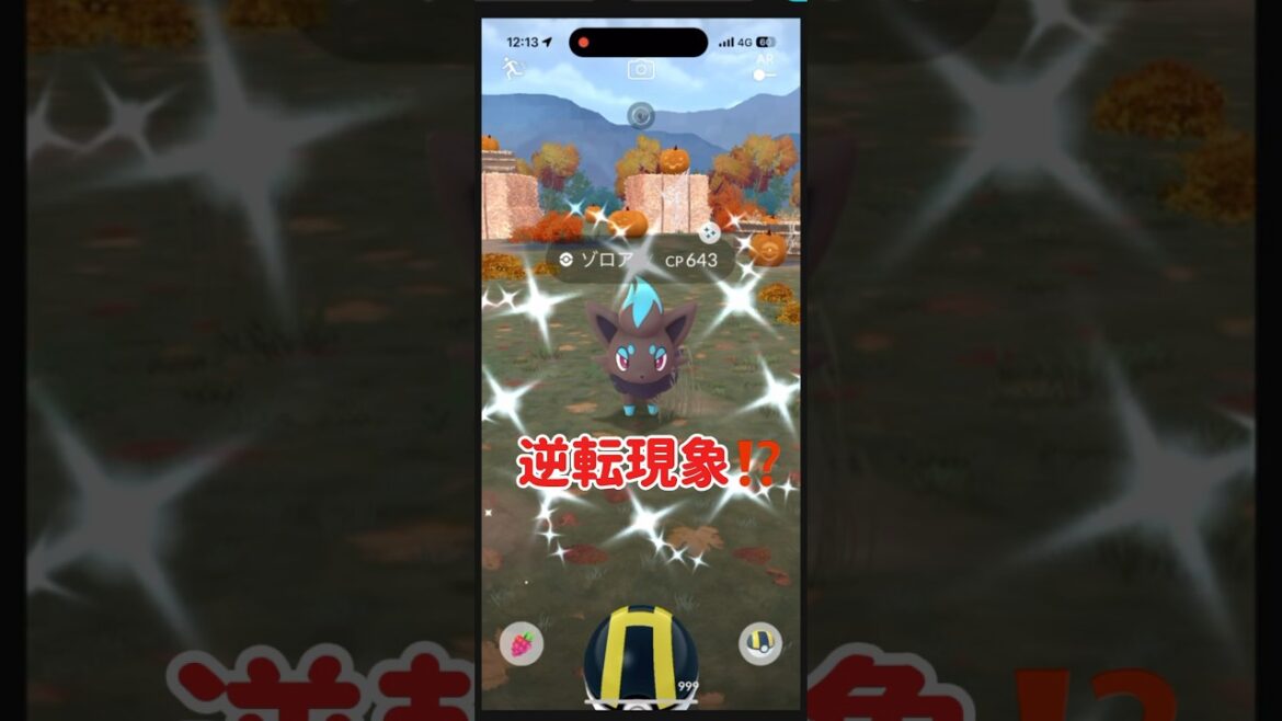 【相棒で遊んでみた】#ポケモンgo #pokemongo #相棒 #色違い#ゾロア#zorua #shorts