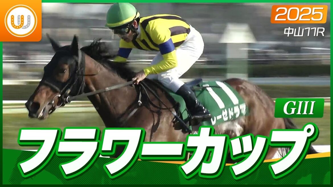 【レース映像】中山11R フラワーカップ（GIII）｜レーゼドラマ（戸崎圭太）｜ウイニング競馬