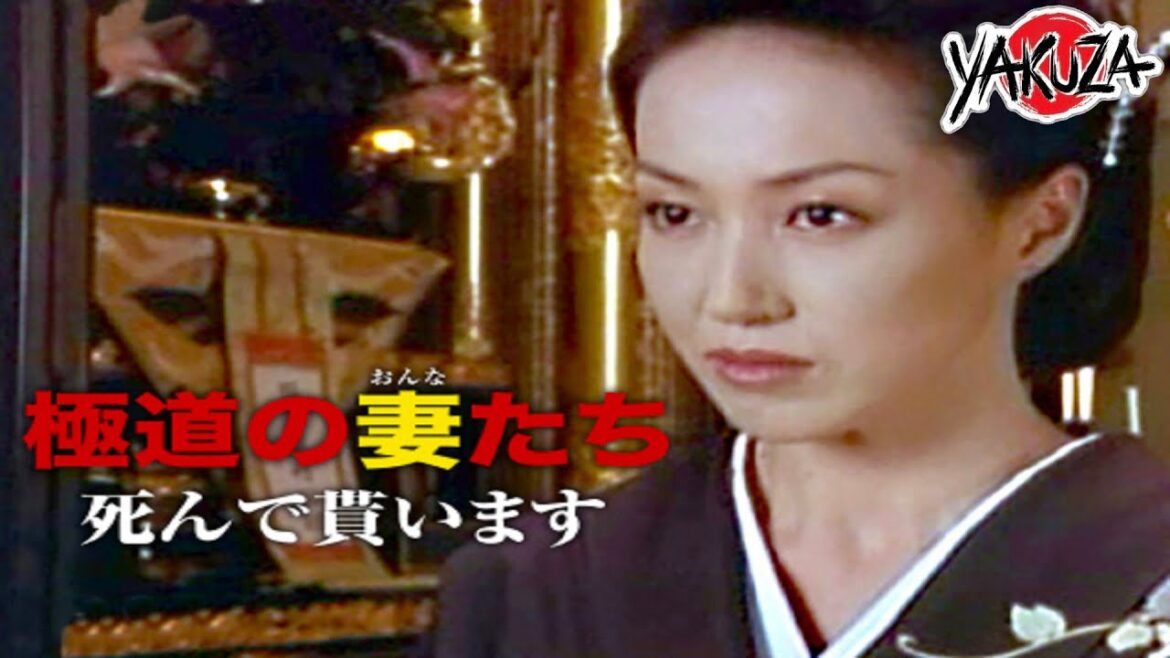 「ヤクザ映画」極道の妻たち･死んで貰います✔️📀📽️サスペンスドラマ最新2025 FULL HD