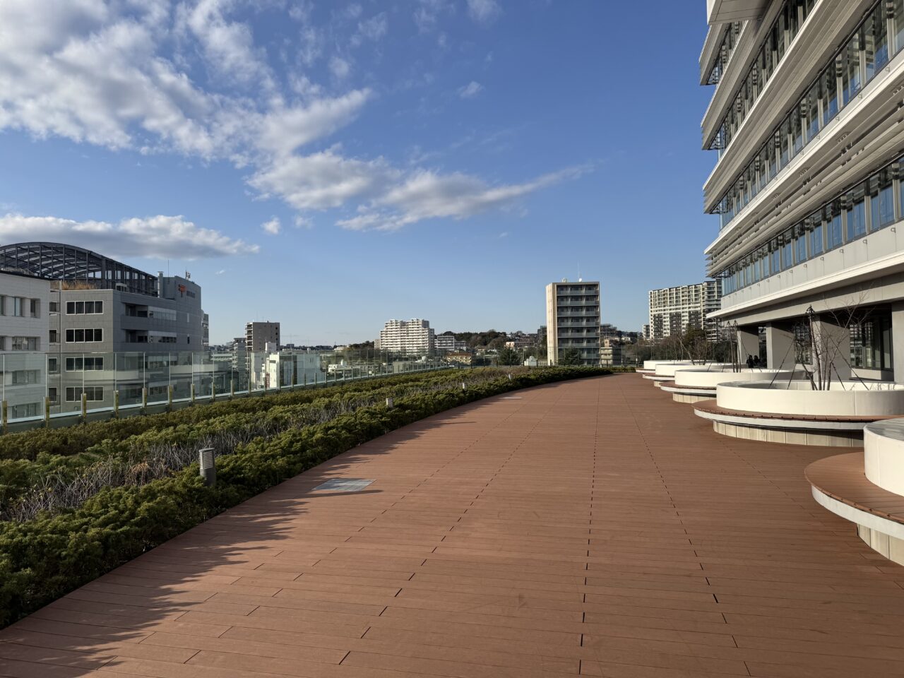 SHONAN BALEARIC PARTY