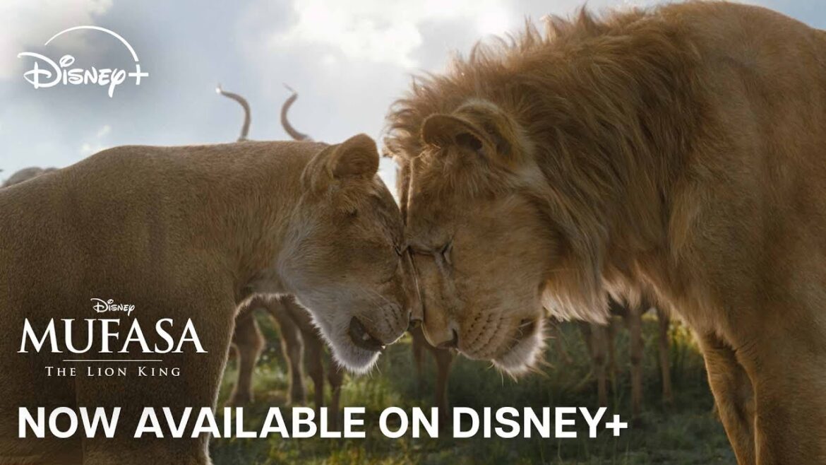 『ライオン・キング：ムファサ』ディズニープラスで2025年4月9日配信決定 - dpost.jp