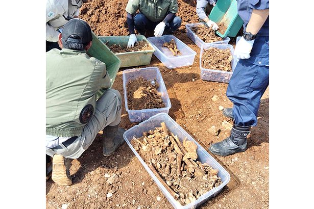 伊江島、20人遺骨発見　戦没者か、映画製作中　沖縄
