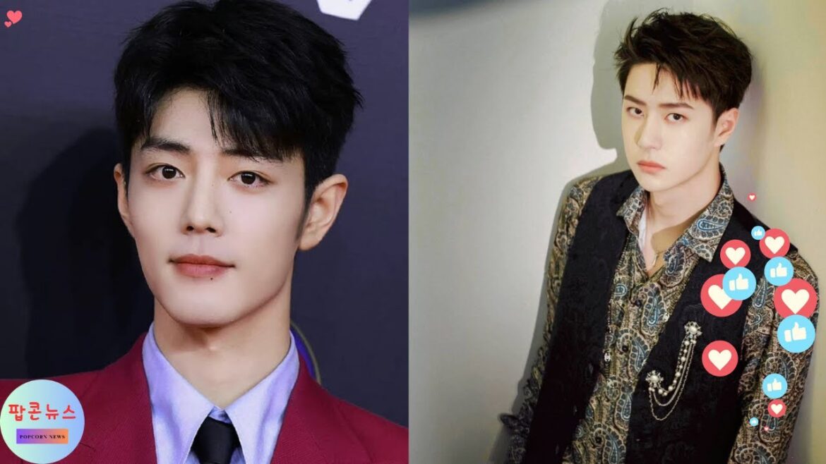 "Why Wang Yibo Can't Stay Away from Xiao Zhan's Unique Charisma?"