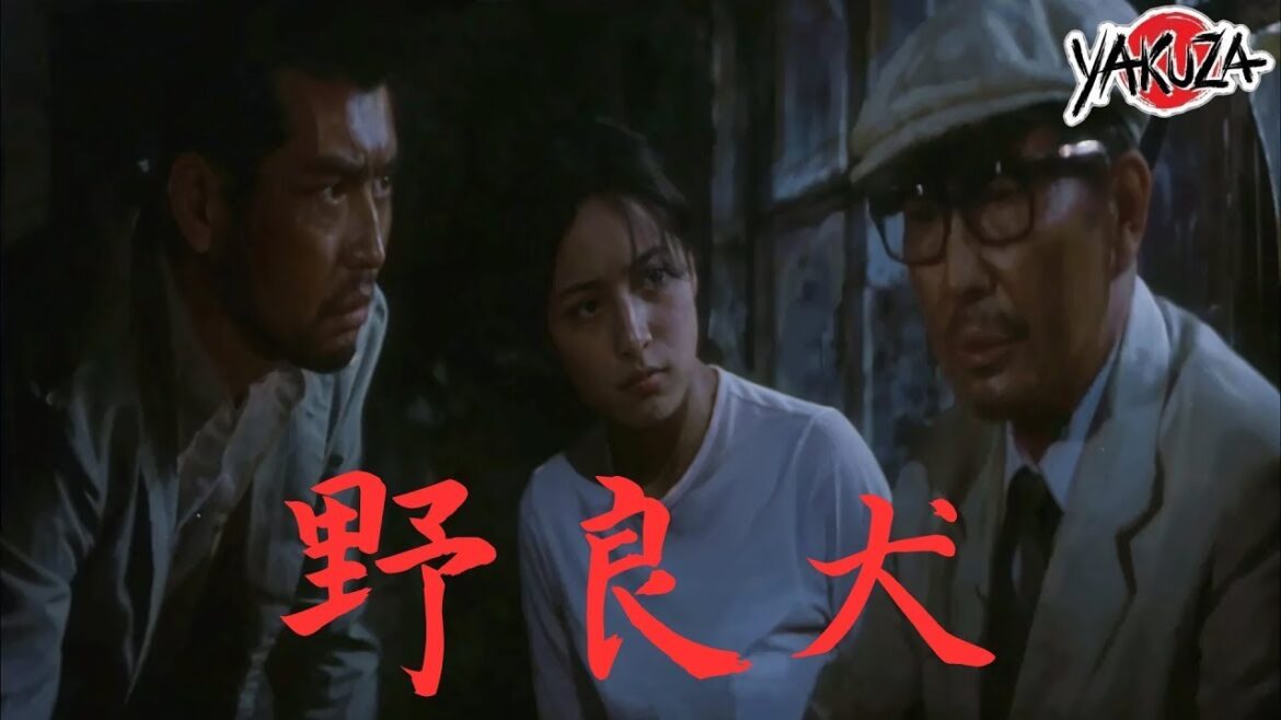 「ヤクザ映画」野良犬✔️📀📽️サスペンスドラマ最新2025 FULL HD