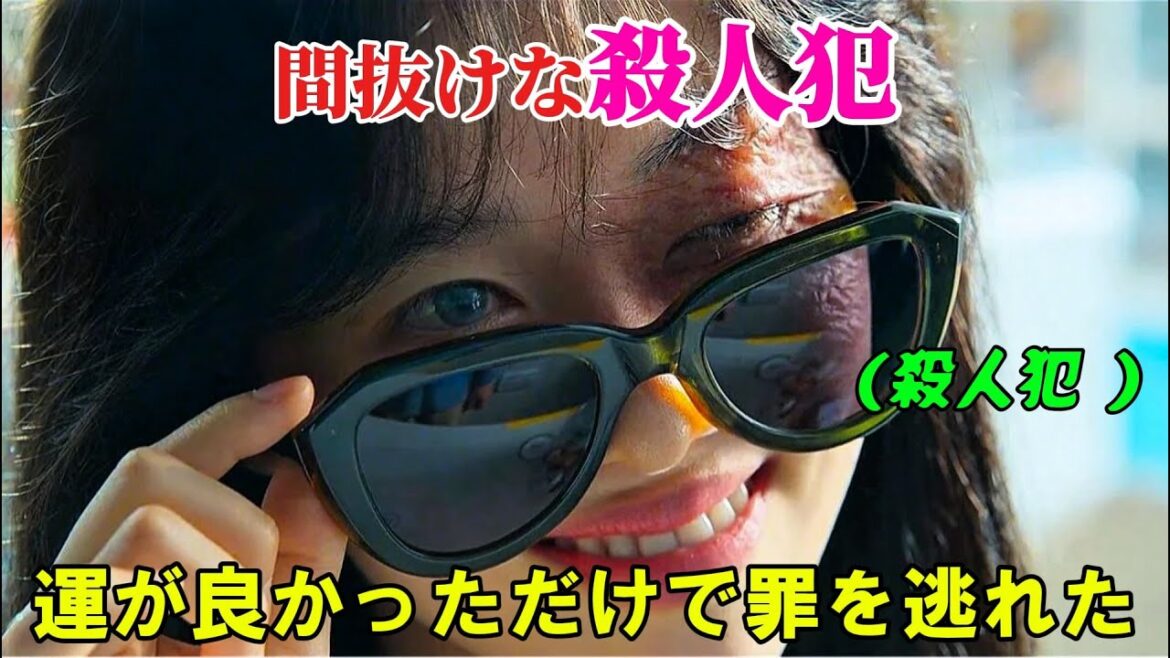 【韓国ドラマ無料 全話】「キラーパラドックス」間抜けな殺人犯は、偶発的に５人を殺害してしまったが、単に運が良かっただけで罪を逃れた【映画紹介】【ゆっくり解説】