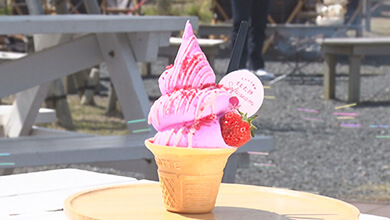 もも太郎ソフトクリーム・燕市の道の駅SORAIRO国上（新潟県）｜GWオススメ！食べて・遊べる道の駅